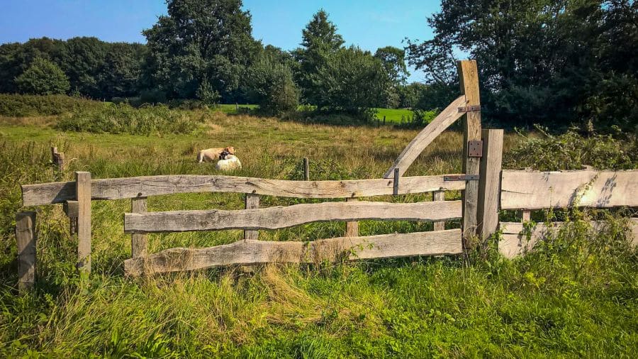 Natuurschoon